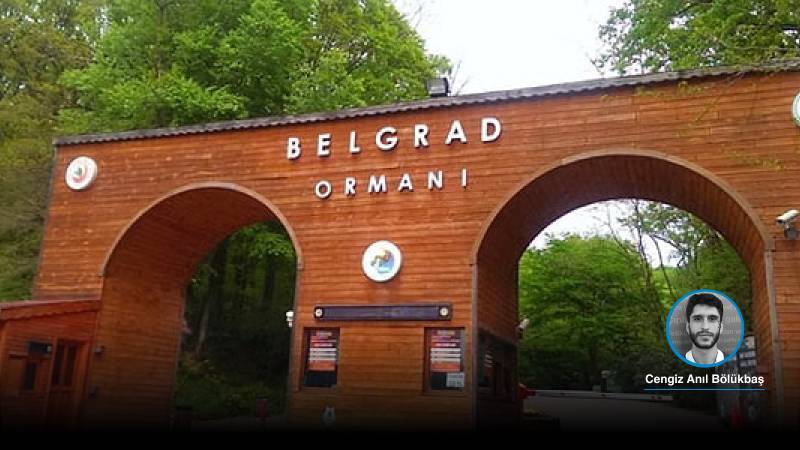 İdaresi İBB’de olan Belgrad Ormanları’na şafak tahliyesi