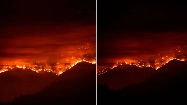 California’nın Napa bölgesinde orman yangını