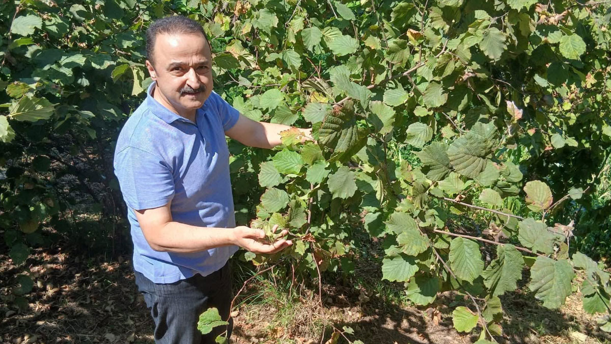 mhpli sanliturkten kritik uyari rekolte dusuyor fiyat yukseliyor DqV7y2DR