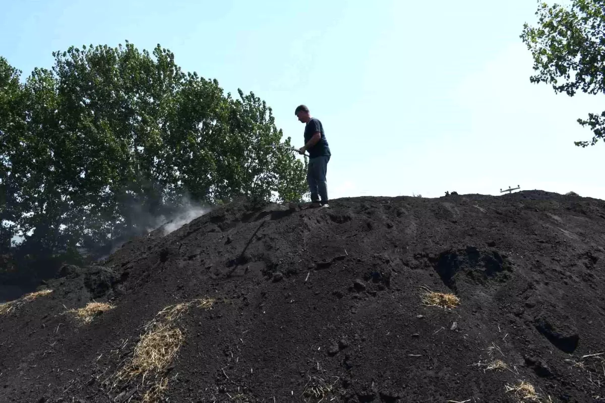 sicaga ragmen mangal komuru uretimi surekli ffw38UiU