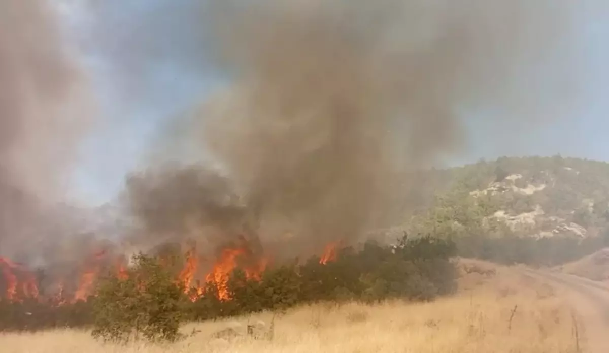 Şırnak’ta Örtü Yangını Çıktı sirnakta ortu yangini cikti 6qspvBS8