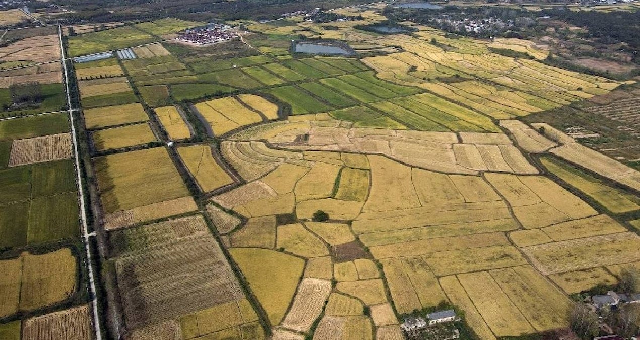 arsa alacaklar olanlar dikkat yargitaydan emsal karar mIHUlXVT