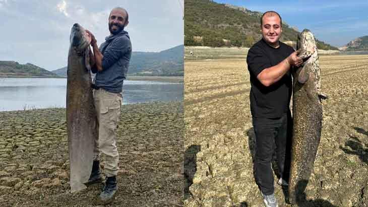 su seviyesi dusen bogazkoy barajinda dev yayin baligi avliyorlar p2Pkfueg.jpg