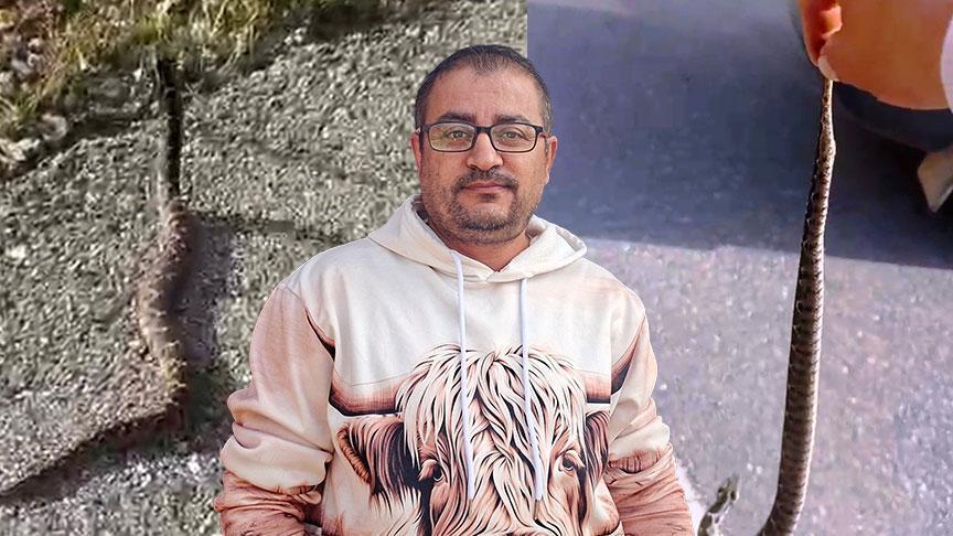 yer kutahya zehirli engerekle olum dansi ben bir delilik yaptim Ay9P1vPX.jpg