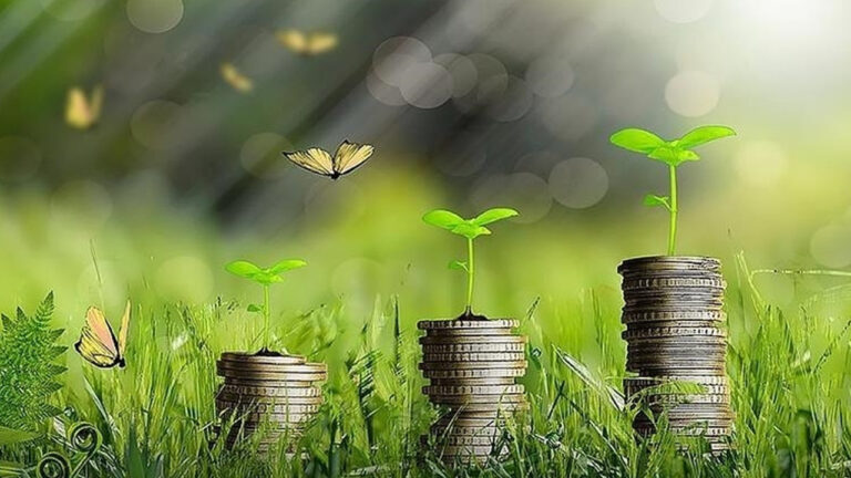 turkiye-yesil-fonundan-30-milyon-euro-yatirim-Frz1G4ge