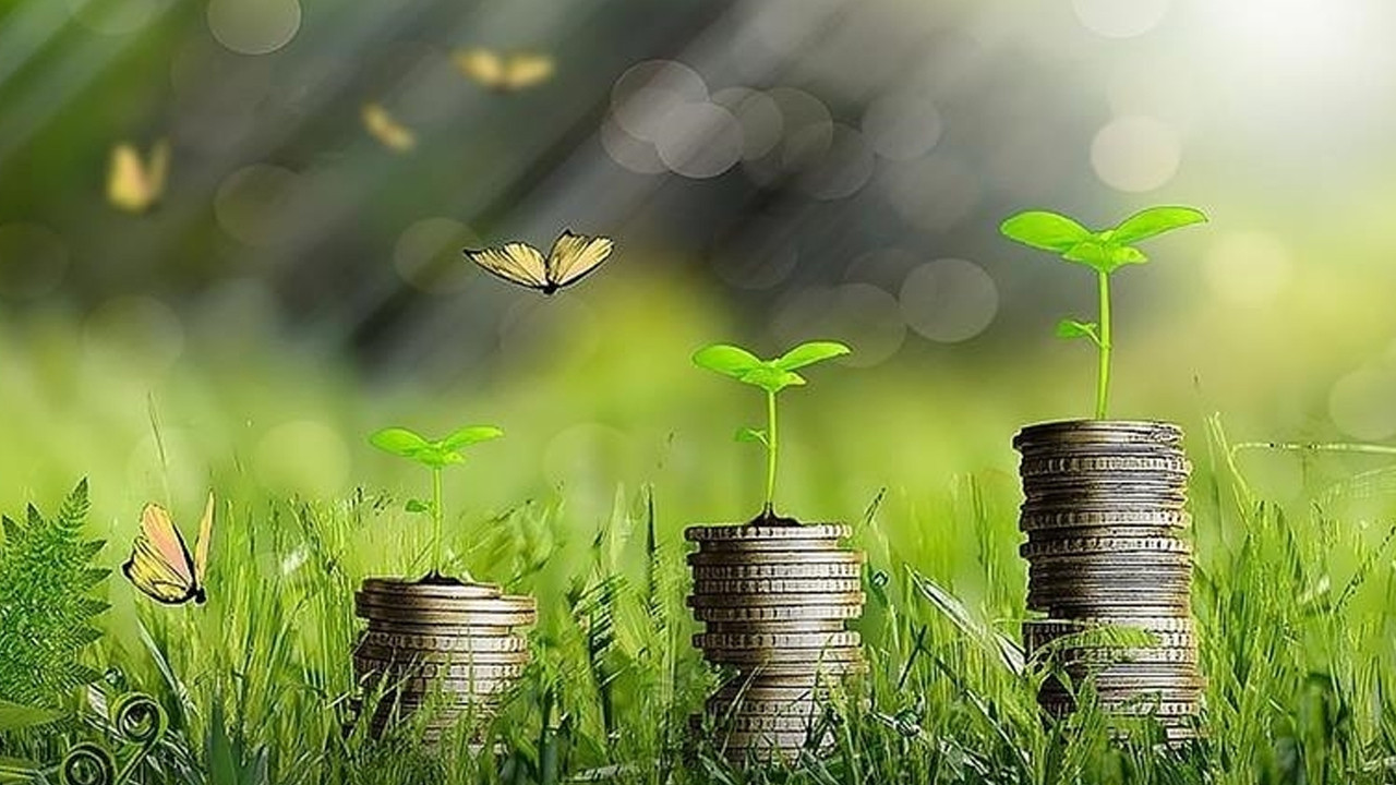turkiye-yesil-fonundan-30-milyon-euro-yatirim-Frz1G4ge
